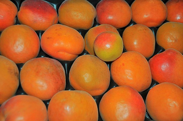 El valor de las exportaciones agroalimentarias de la Región se incrementó un 14,9 por ciento en 2012 con respecto al año anterior - 1, Foto 1