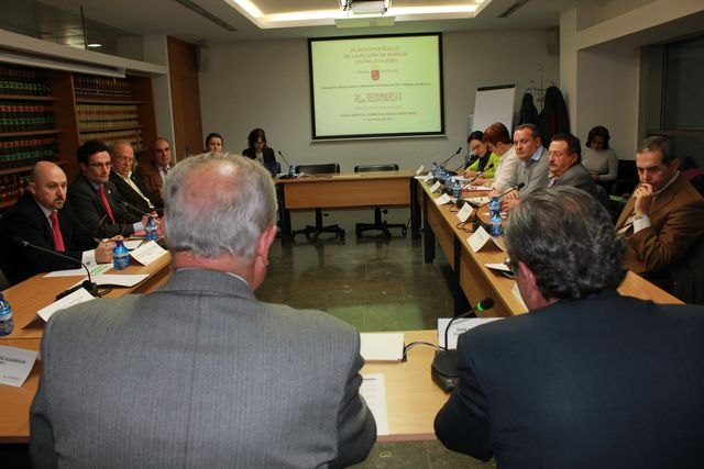 Comienzan las reuniones de trabajo de las mesas sectoriales del Plan Estratégico para el diseño de una Región de futuro - 2, Foto 2