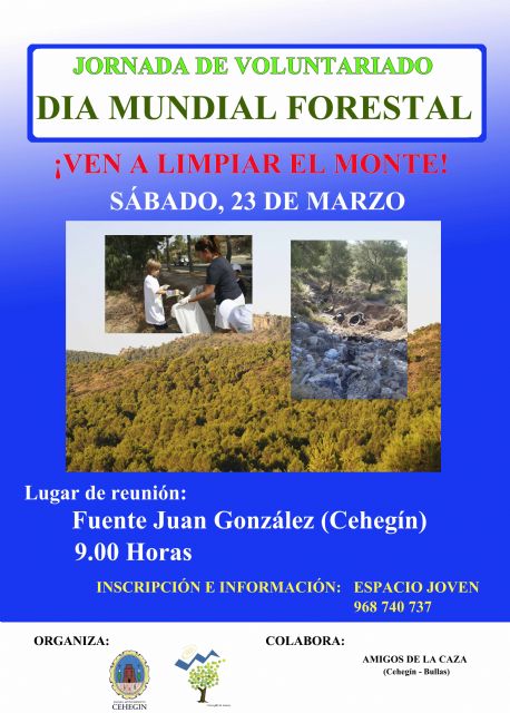 Jornada para limpiar el monte de residuos en el Día Mundial Forestal - 1, Foto 1