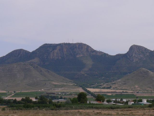 Las Concejalías de Medio Ambiente y Jardines, organizan diversas actividades conmemorando el Día Mundial Forestal - 1, Foto 1