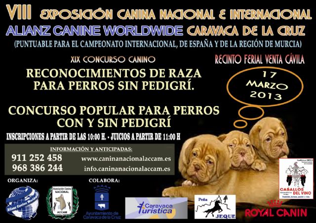 El Recinto Ferial acoge este domingo el XIX Concurso Canino y Exposición de Caravaca - 2, Foto 2