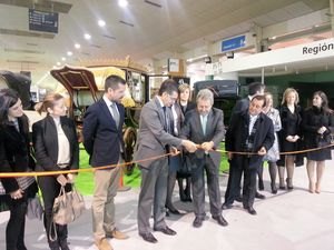 Torre Pacheco reúne a más de 400 caballos de pura raza española, hispanoárabe y árabe en uno de los mejores certámenes ecuestres nacionales - 1, Foto 1