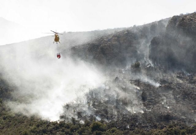 Controlado el incendio en una zona de matorral cercana a la Refinería de Escombreras - 5, Foto 5