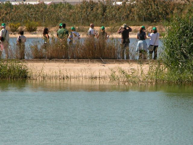 Molina de Segura celebra el Día Mundial del Árbol con una plantación de especies típicas de saladar y zonas húmedas el miércoles 20 y jueves 21 de marzo en las Lagunas de Campotéjar - 2, Foto 2