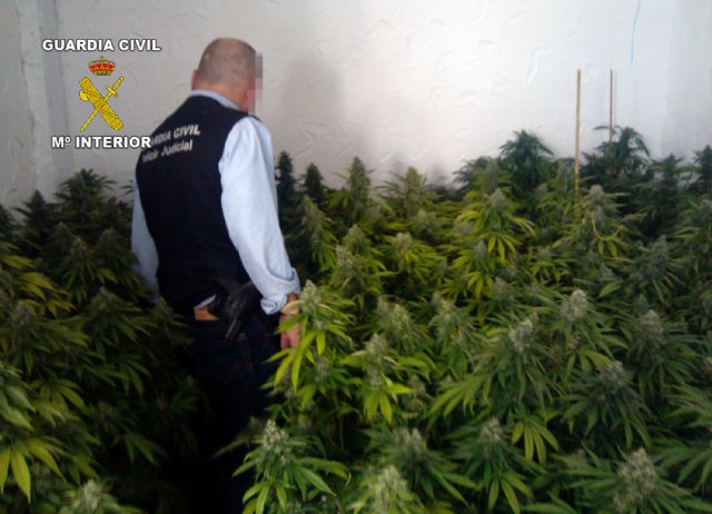 La Guardia Civil desmantela un punto de producción de marihuana en Lorquí - 2, Foto 2
