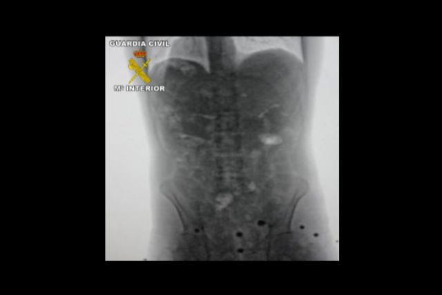 La Guardia Civil desarticula una red que introducía cocaína en España procedente de Bolivia - 3, Foto 3