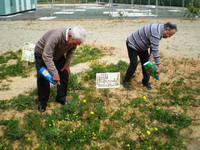 Mayores de El Algar practican Horticoterapia - 3, Foto 3