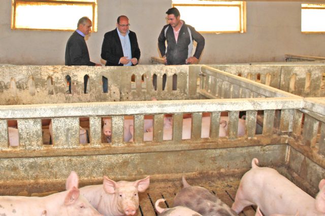 El Ayuntamiento de Puerto Lumbreras aprueba en Pleno Municipal cambios en beneficio de la ganadería - 1, Foto 1