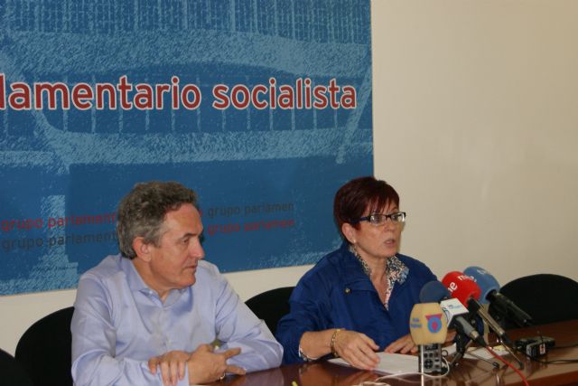 El PSOE pide a Bernal que entregue de inmediato su acta de diputado por negarse a hacer público su patrimonio - 1, Foto 1