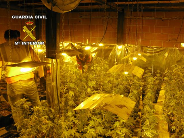 La Guardia Civil desarticula una organización criminal que traficaba con marihuana - 2, Foto 2