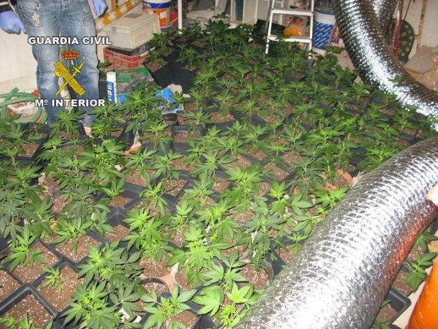 La Guardia Civil desarticula una organización criminal que traficaba con marihuana - 3, Foto 3