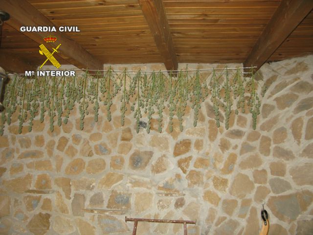 La Guardia Civil desarticula una organización criminal que traficaba con marihuana - 4, Foto 4