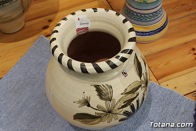 Se presenta la iniciativa 