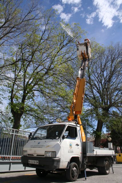 Los olmos del municipio reciben un tratamiento preventivo contra la grafiosis - 2, Foto 2