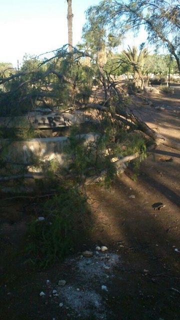 El Grupo Socialista exige una vez más al PP que refuerce la seguridad en Los Rectores - 1, Foto 1