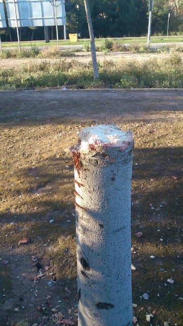 El Grupo Socialista exige una vez más al PP que refuerce la seguridad en Los Rectores - 2, Foto 2