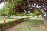 Proponen que el Parque de Santa Ana se llame de los Exploradores de la Regin de Murcia