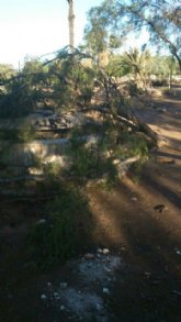 El Grupo Socialista exige una vez ms al PP que refuerce la seguridad en Los Rectores