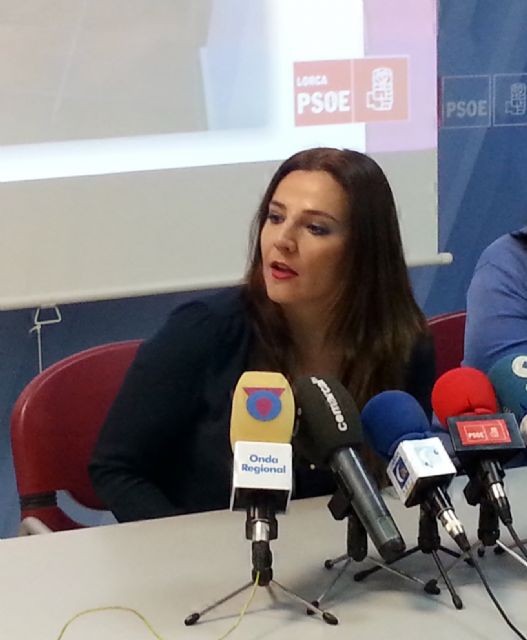 El PSOE contesta a la consejera Palacios - 1, Foto 1