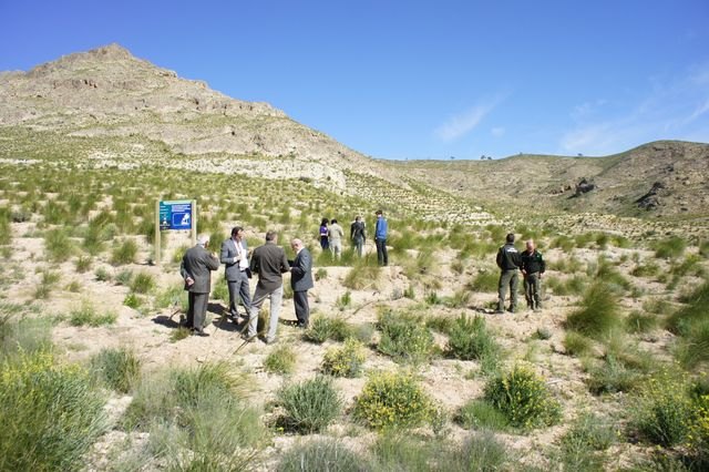 La Comunidad y ´La Caixa´ restauran 37 hectáreas de superficie forestal quemadas en la Sierra del Molino y la Sierra del Cerezo - 1, Foto 1