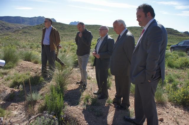 La Comunidad y ´La Caixa´ restauran 37 hectáreas de superficie forestal quemadas en la Sierra del Molino y la Sierra del Cerezo - 2, Foto 2