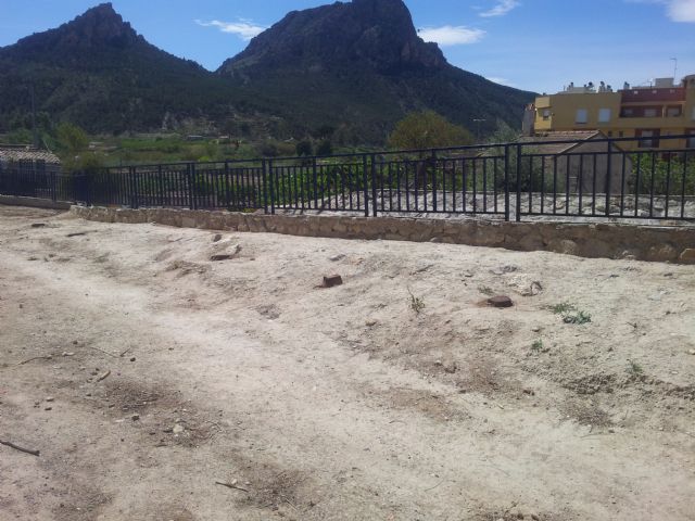 UPyD Cieza recrimina la tala de árboles - 2, Foto 2