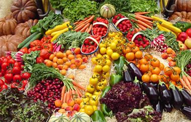 IU Verdes eleva al Pleno una Propuesta para que se mejore el Proyecto de Ley en la Cadena Alimentaria - 1, Foto 1