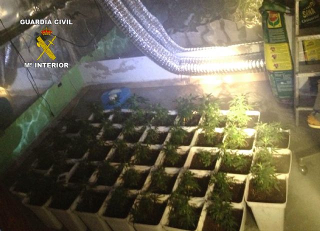 La Guardia Civil desmantela tres puntos de producción y distribución de marihuana en la Región - 3, Foto 3