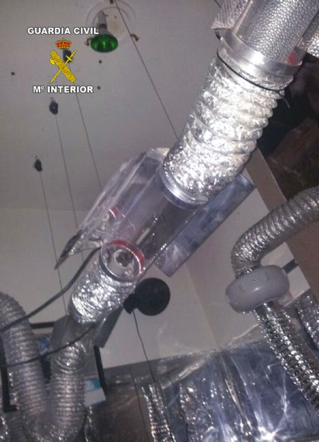 La Guardia Civil desmantela tres puntos de producción y distribución de marihuana en la Región - 4, Foto 4