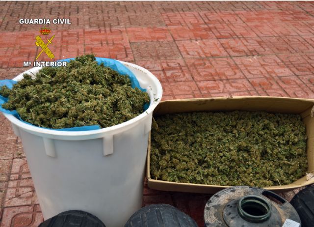 La Guardia Civil desmantela tres puntos de producción y distribución de marihuana en la Región - 5, Foto 5