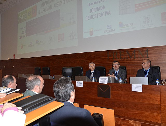 Ballesta asegura que la Región tiene capacidad para producir 500.000 toneladas de biomasa que se pueden transformar en energía renovable - 1, Foto 1