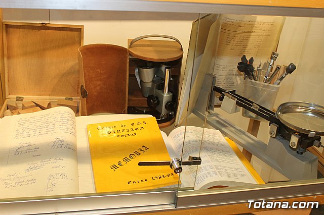 La alcaldesa anuncia que el ayuntamiento realizar una mencin honorfica a los colegios pblicos 