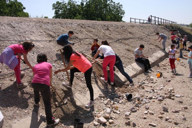 Restauración ambiental de taludes en la Rambla de Los Calderones y en la Vía Verde de Molina de Segura - 2, Foto 2