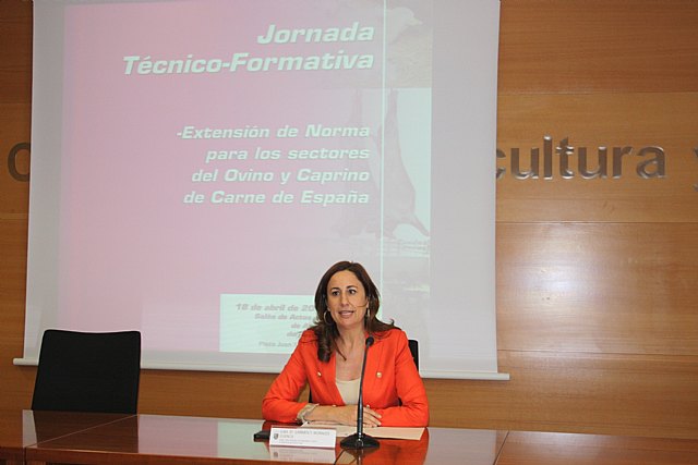 Profesionales de la Región forman a docentes de un centro educativo de Bulgaria en prevención de violencia de género - 2, Foto 2