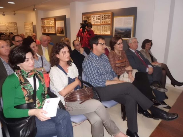 La colección de mariposas, donada por Don Francisco González, sitúa a nuestro Museo como un referente a nivel nacional - 1, Foto 1