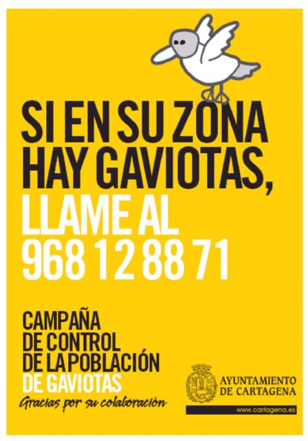 Sanidad inicia una nueva campaña contra la colonización de gaviotas en Cartagena - 1, Foto 1