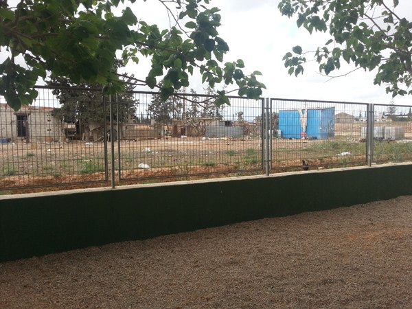 UPyD Cartagena exige que el Ayuntamiento desinfecte de pulgas el Colegio de La Aljorra - 1, Foto 1