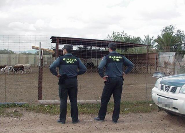 La Guardia Civil detiene a los presuntos autores de dos hurtos en fincas ganaderas - 1, Foto 1