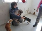 Los perros torreños encuentran hogar en Francia