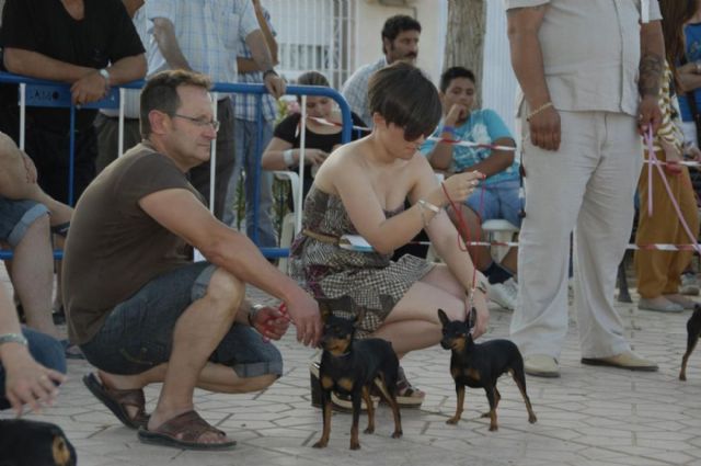 Las Lomas del Albujón celebra su II Concurso Canino - 3, Foto 3