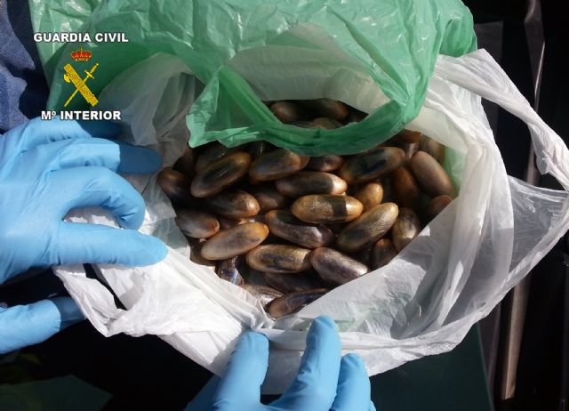 La Guardia Civil detiene a dos personas con más de 150 bellotas de hachís ocultas en maletas de viaje - 1, Foto 1