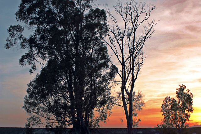 Fallados los premios del concurso de fotografía y de relatos cortos de la II Semana Cultural - 1, Foto 1