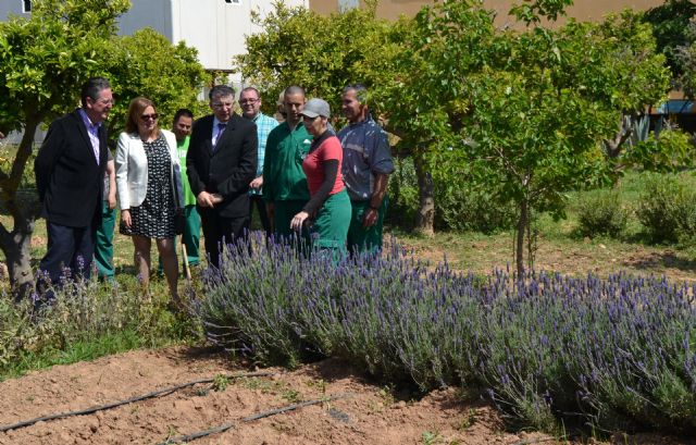 El Centro de Día de Aidemar en San Pedro del Pinatar cumple una década - 3, Foto 3