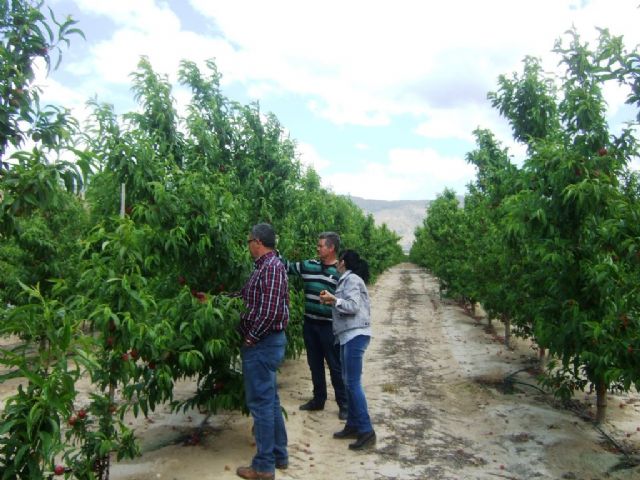 Desarrollo Rural apuesta por utilizar los lodos de las depuradoras en la agricultura mazarronera, Foto 2