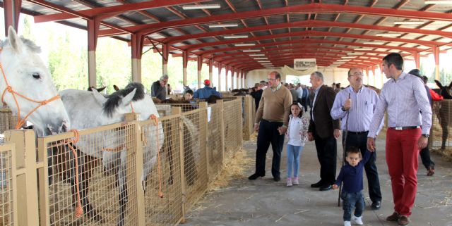 Inaugurada la Feria de Ganado Equino de Puerto Lumbreras que muestra más de 400 ejemplares de ganado durante todo el fin de semana - 1, Foto 1