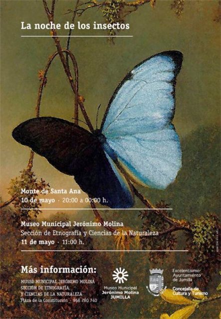 La Concejalía de Cultura celebrará la Noche de los Insectos, el próximo fin de semana - 1, Foto 1