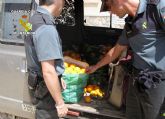 La Guardia Civil detiene a cinco personas por la sustraccin de productos del campo