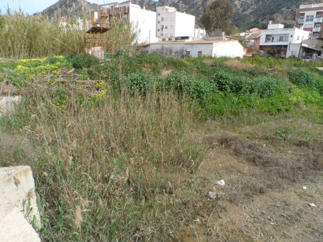 El Grupo Socialista vuelve a pedir la limpieza de la rambla del Garruchal - 1, Foto 1