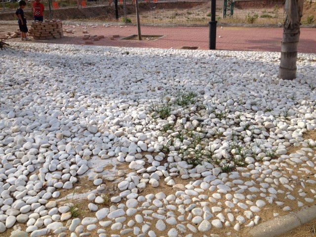 IU-Verdes denuncia el deterioro de un jardín de Santo Ángel - 5, Foto 5