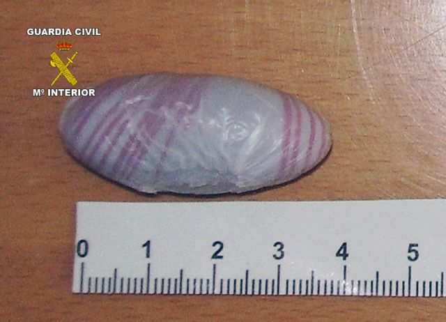 La Guardia Civil detiene a una persona con más de medio kilo de bellotas de hachís oculto entre su ropa - 2, Foto 2